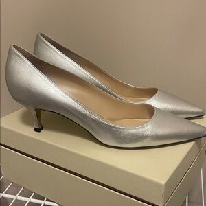 Elegant Silver Pointed Toe Heels